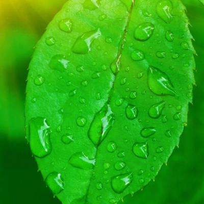 金年会手机app官方下载